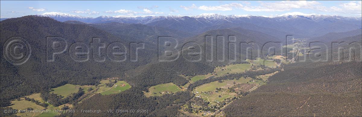 Peter Bellingham Photography Freeburgh - VIC (PBH4 00 9536)